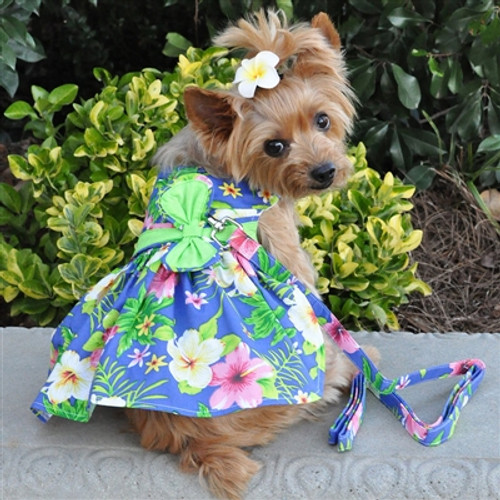 Blue Lagoon Hawaiian Hibiscus Dress w/ Leash & D-Ring